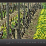 kalender2013_w_fin__seite_05