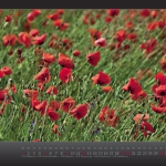 kalender2013_w_fin__seite_06