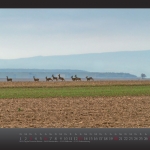 kalender2013_w_fin__seite_11