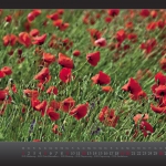 kalender2013_w_fin__seite_06
