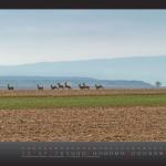 kalender2013_w_fin__seite_11