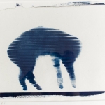 windowcat18_1cyano-1