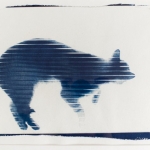 windowcat19_1cyano-1