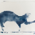 windowcat26_1cyano-1