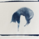 windowcat79_1cyano-1