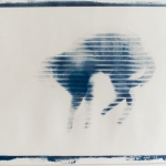 windowcat80_1cyano-1