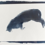 windowcat85_1cyano-1